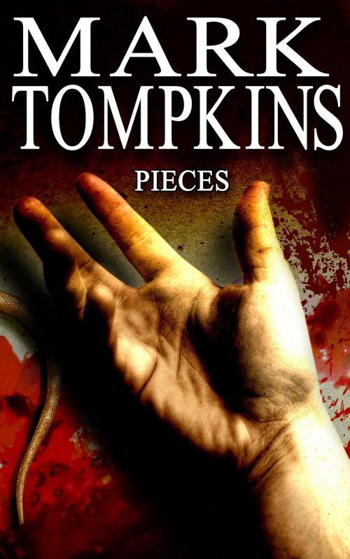 Cover of the book Pieces by Mark Tompkins, Mark Tompkins