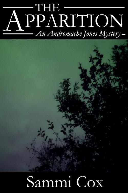 Cover of the book The Apparition: An Andromache Jones Mystery by Sammi Cox, Sammi Cox