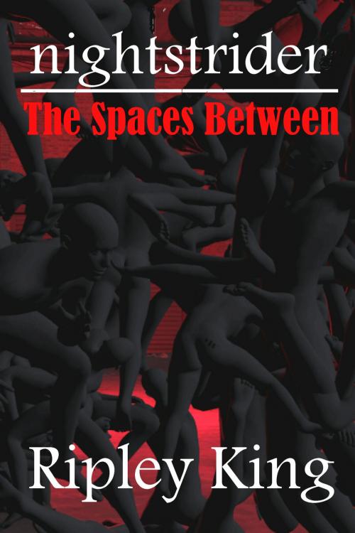 Cover of the book Nightstrider: The Spaces Between by Ripley King, Ripley King