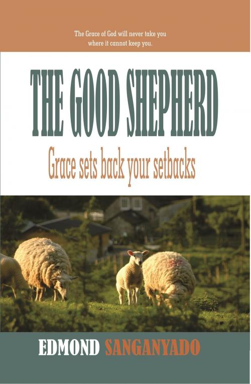 Cover of the book The Good Shepherd: Grace sets back your setbacks by Edmond Sanganyado, Edmond Sanganyado