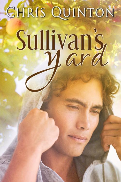 Cover of the book Sullivan's Yard by Chris Quinton, Chris Quinton