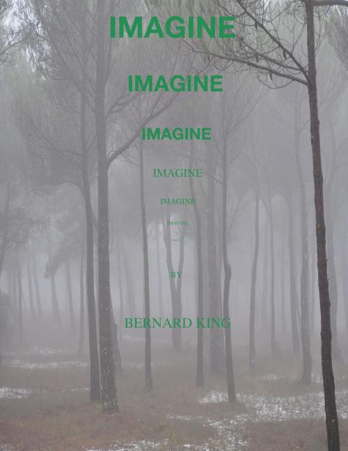 Cover of the book Imagine by Bernard King, Bernard King