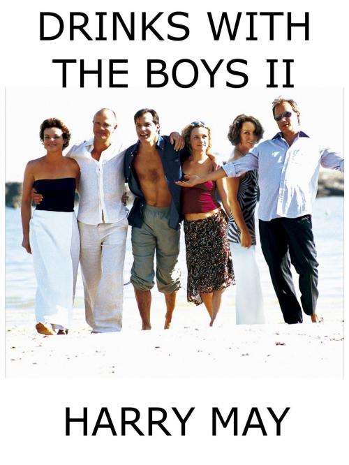 Cover of the book Drinks With The Boys II by Harry May, Harry May