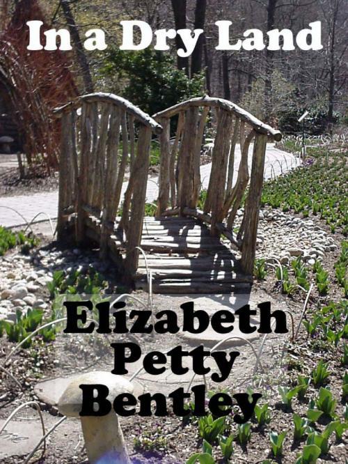 Cover of the book In a Dry Land by Elizabeth Petty Bentley, Parables