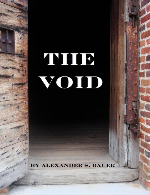Cover of the book The Void by Alexander S. Bauer, Alexander S. Bauer