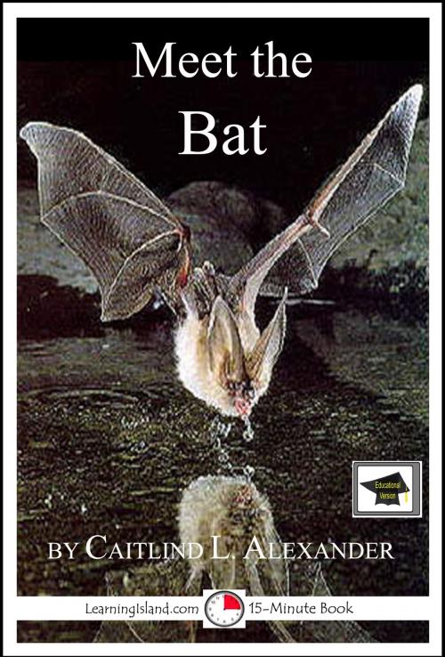 Cover of the book Meet the Bat: Educational Version by Caitlind L. Alexander, LearningIsland.com