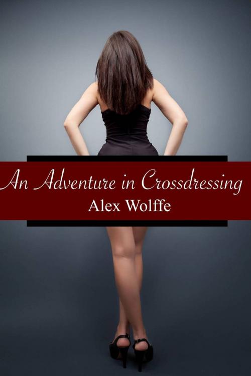 Cover of the book An Adventure in Crossdressing by Alex Wolffe, Alex Wolffe