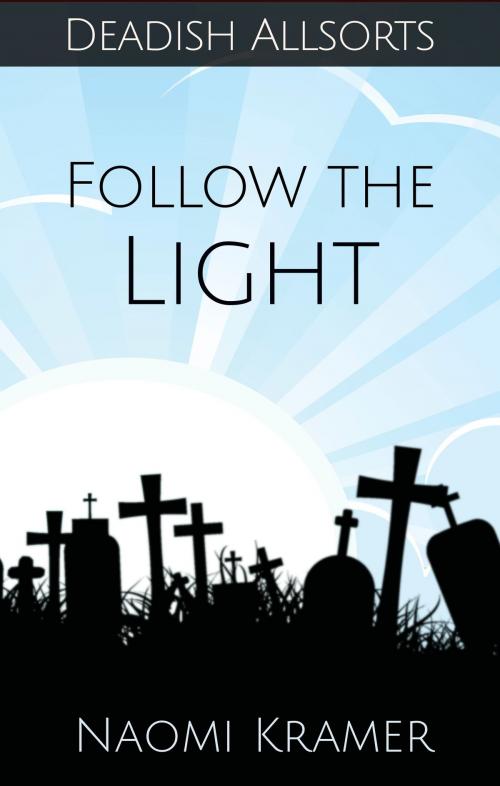 Cover of the book Follow the Light by Naomi Kramer, Naomi Kramer