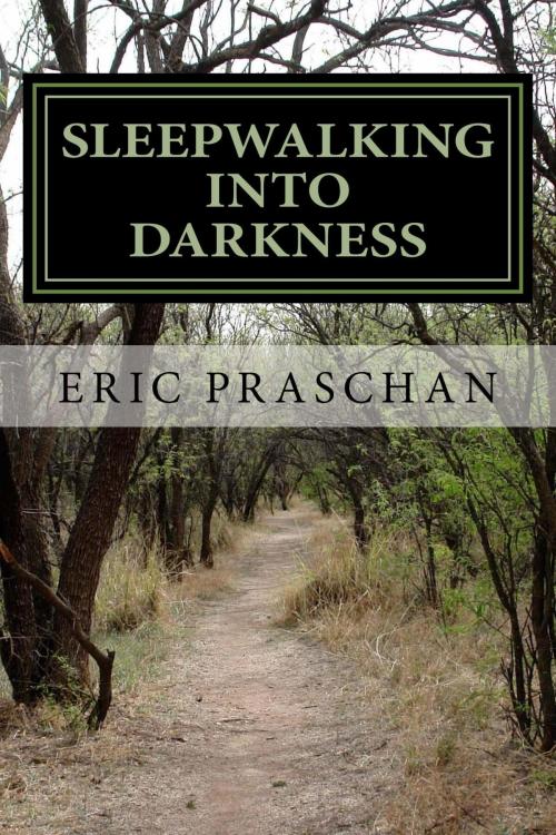 Cover of the book Sleepwalking into Darkness (The James Women Trilogy Book 2) by Eric Praschan, Eric Praschan