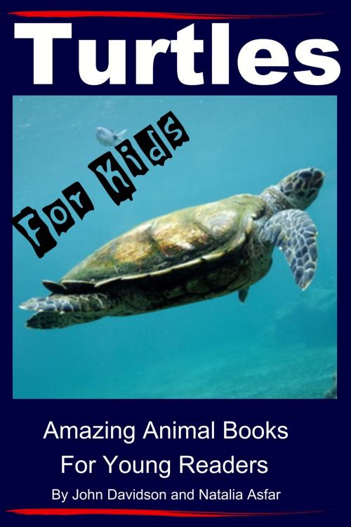 Cover of the book Turtles: For Kids - Amazing Animal Books for Young Readers by John Davidson, Natalia Asfar, JD-Biz Corp Publishing