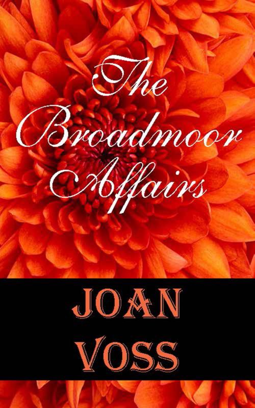 Cover of the book The Broadmoor Affairs by Joan Voss, My Seashell Books