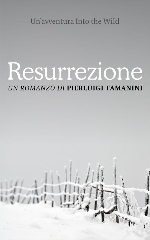 Cover of the book Resurrezione by Pierluigi Tamanini, Pierluigi Tamanini