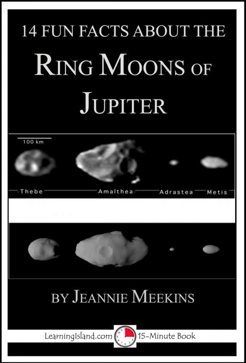 Cover of the book 14 Fun Facts About the Ring Moons of Jupiter: Educational Version by Jeannie Meekins, LearningIsland.com