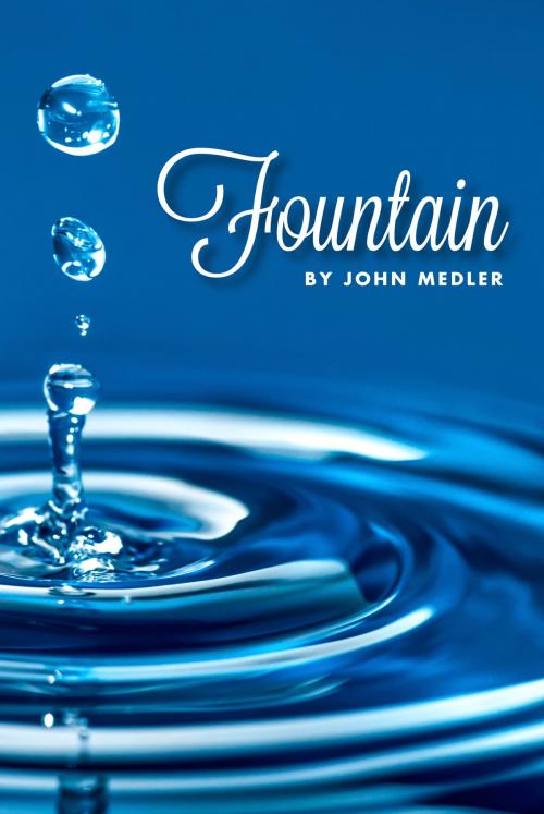 Cover of the book Fountain by John Medler, John Medler