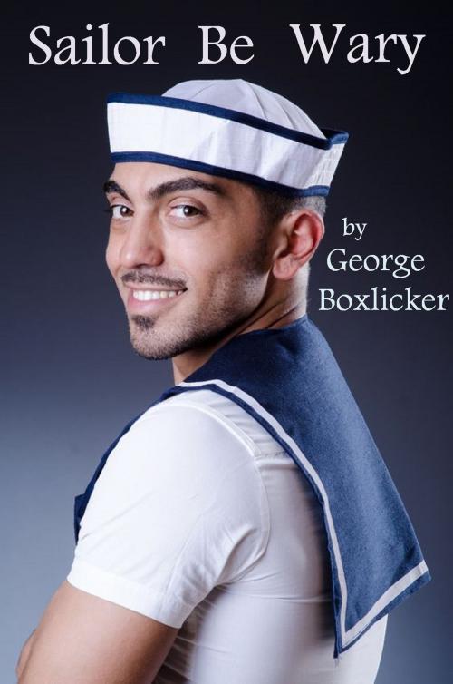 Cover of the book Sailor Be Wary by George Boxlicker, George Boxlicker