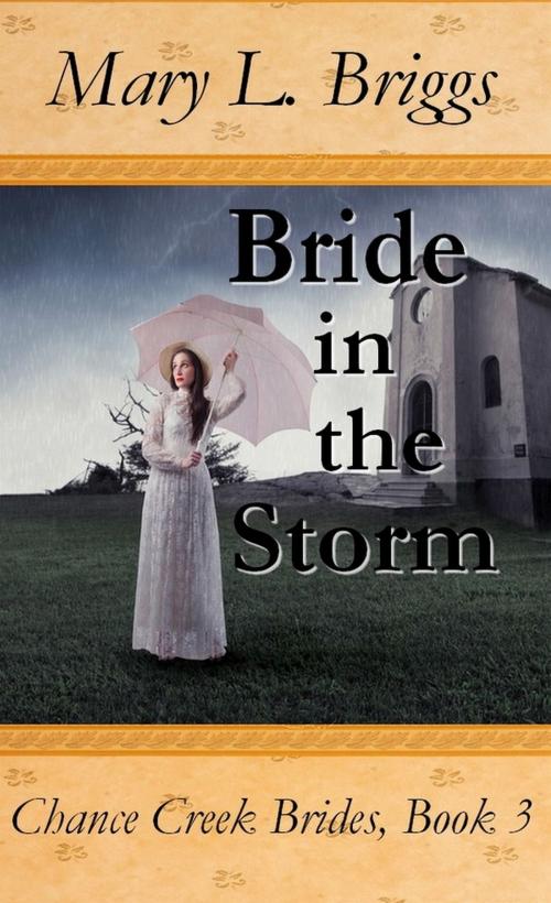 Cover of the book Bride in the Storm (Chance Creek Brides Book 3) by Mary L. Briggs, Mary L. Briggs