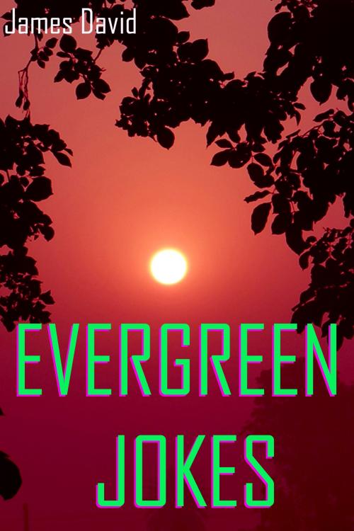 Cover of the book Evergreen Jokes by James David, Mahesh Dutt Sharma