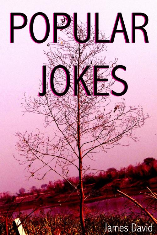 Cover of the book Popular Jokes by James David, Mahesh Dutt Sharma