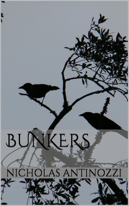 Cover of the book Bunkers by Nicholas Antinozzi, Nicholas Antinozzi