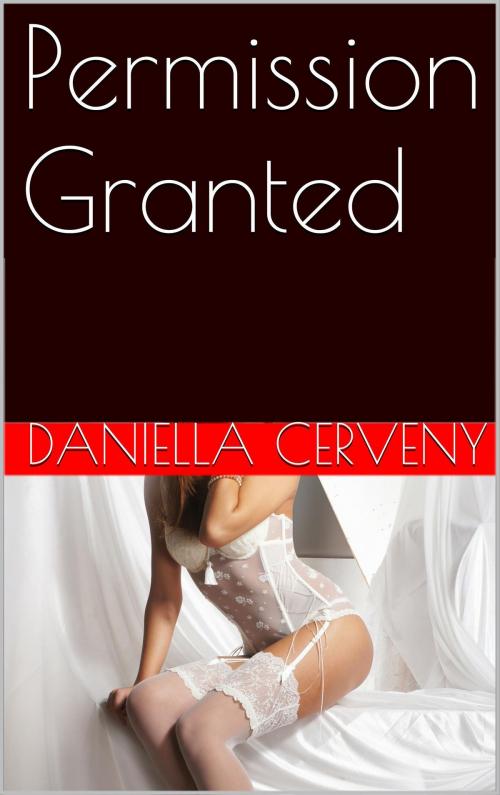 Cover of the book Permission Granted by Daniella Cerveny, Secret Narrative