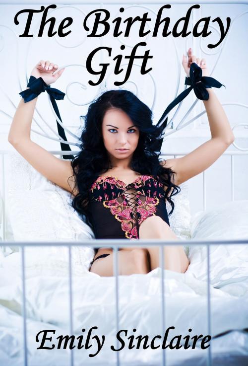 Cover of the book The Birthday Gift by Emily Sinclaire, Emily Sinclaire