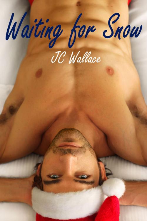Cover of the book Waiting for Snow by Jake C. Wallace, Jake C. Wallace