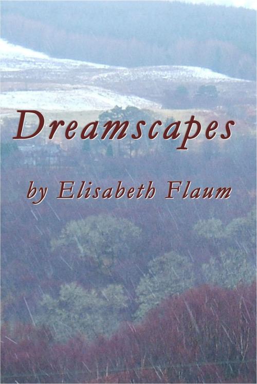 Cover of the book Dreamscapes by Elisabeth Flaum, Elisabeth Flaum