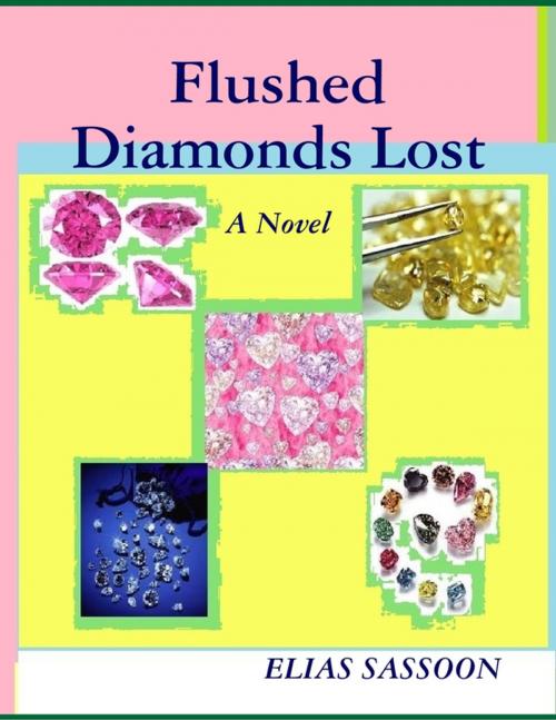 Cover of the book Flushed Diamonds Lost by Elias Sassoon, Lulu.com