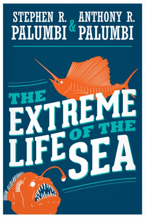 Cover of the book The Extreme Life of the Sea by Stephen R. Palumbi, Anthony R. Palumbi, Princeton University Press
