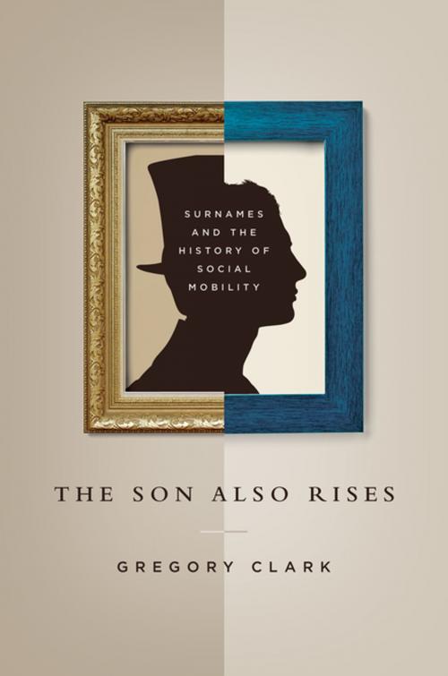 Cover of the book The Son Also Rises by Gregory Clark, Neil Cummins, Yu Hao, Daniel Diaz Vidal, Princeton University Press