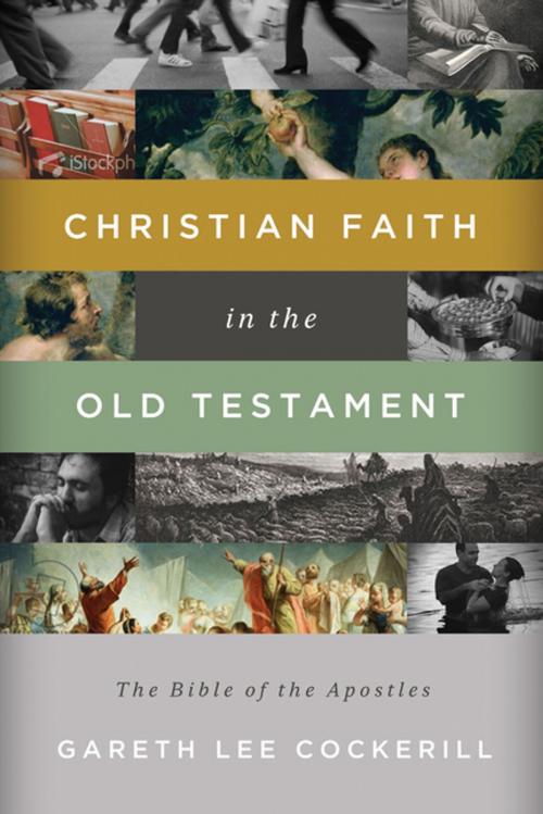 Cover of the book Christian Faith in the Old Testament by Gareth Lee Cockerill, Thomas Nelson