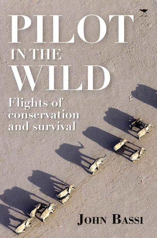 Cover of the book Pilot in the Wild by John Bassi, Jacana Media