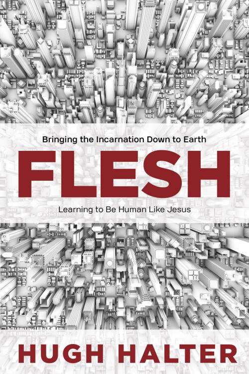 Cover of the book Flesh by Hugh Halter, David C Cook