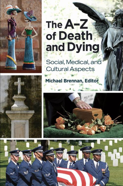 Cover of the book The A–Z of Death and Dying: Social, Medical, and Cultural Aspects by , ABC-CLIO