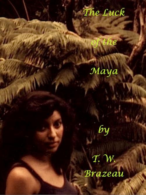 Cover of the book The Luck of the Maya by Theodore Brazeau, eBookIt.com