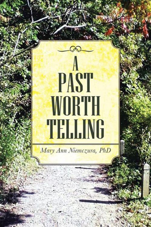 Cover of the book A Past Worth Telling by Mary Ann Niemczura PhD, Abbott Press
