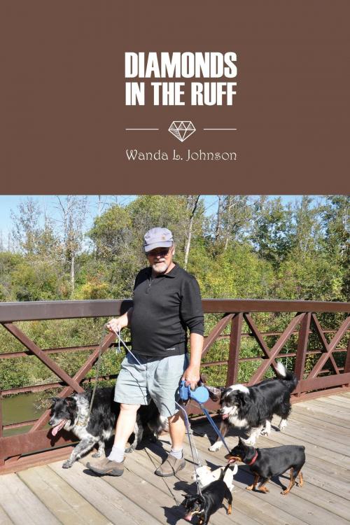 Cover of the book Diamonds in the Ruff by Wanda L. Johnson, FriesenPress