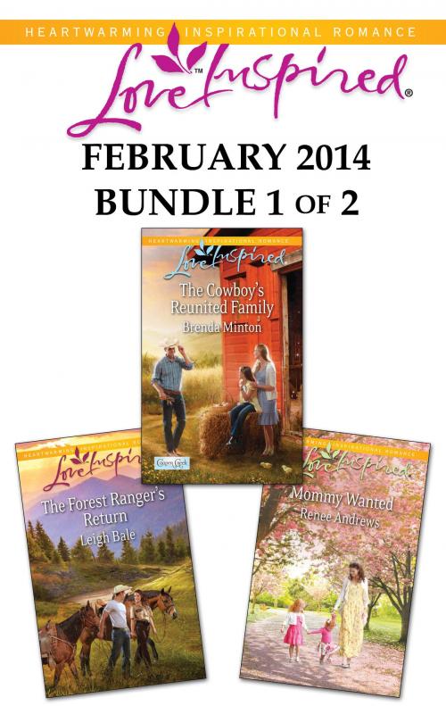Cover of the book Love Inspired February 2014 - Bundle 1 of 2 by Brenda Minton, Leigh Bale, Renee Andrews, Harlequin