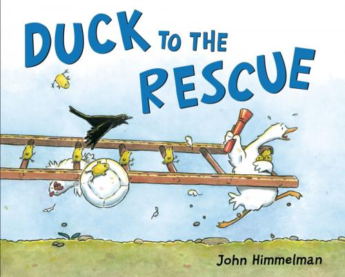 Cover of the book Duck to the Rescue by John Himmelman, Henry Holt and Co. (BYR)