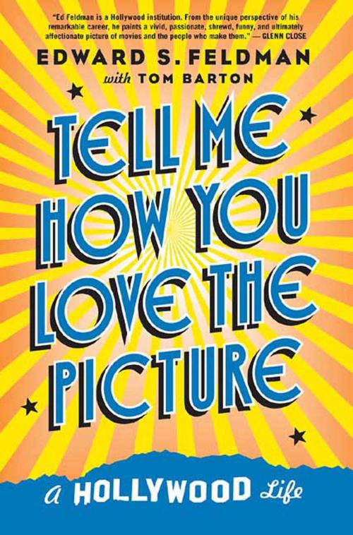 Cover of the book Tell Me How You Love the Picture by Tom Barton, Edward S. Feldman, St. Martin's Press