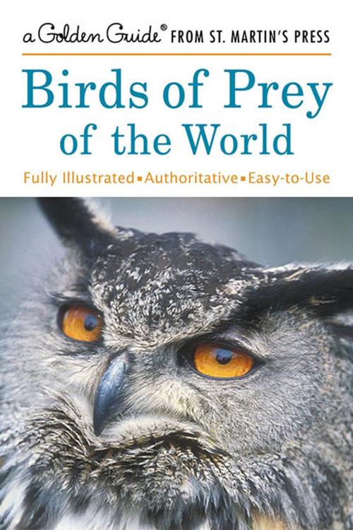 Cover of the book Birds of Prey of the World by Robin Chittenden, St. Martin's Press