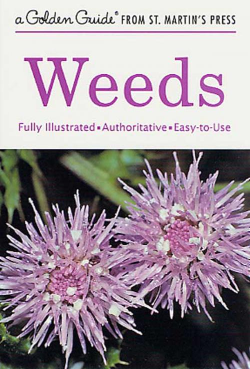 Cover of the book Weeds by Alexander C. Martin, St. Martin's Press