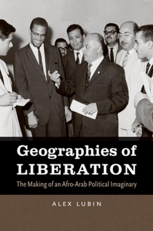 Cover of the book Geographies of Liberation by Alex Lubin, The University of North Carolina Press