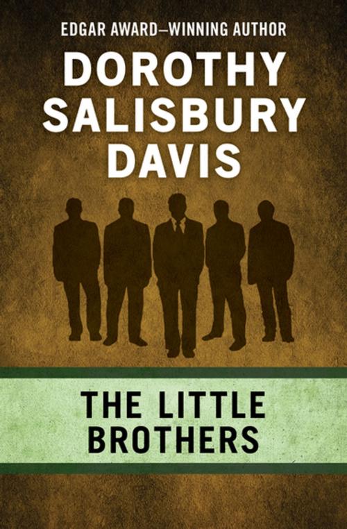 Cover of the book The Little Brothers by Dorothy Salisbury Davis, Open Road Media