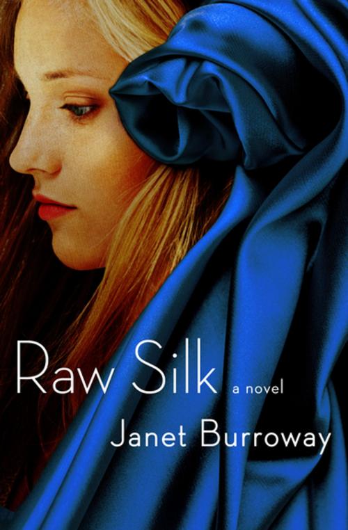 Cover of the book Raw Silk by Janet Burroway, Open Road Media