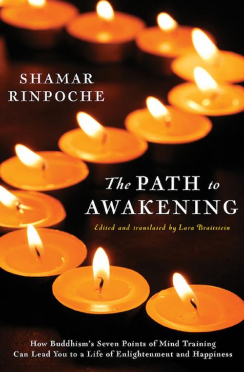 Cover of the book The Path to Awakening by Shamar Rinpoche, Delphinium Books