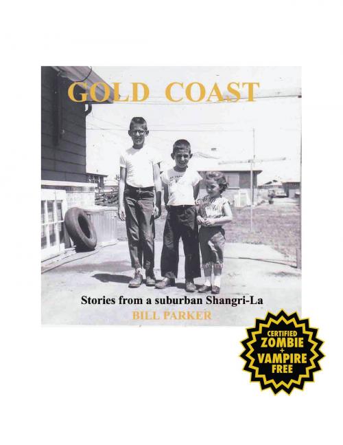 Cover of the book Gold Coast by Bill Parker, BookBaby