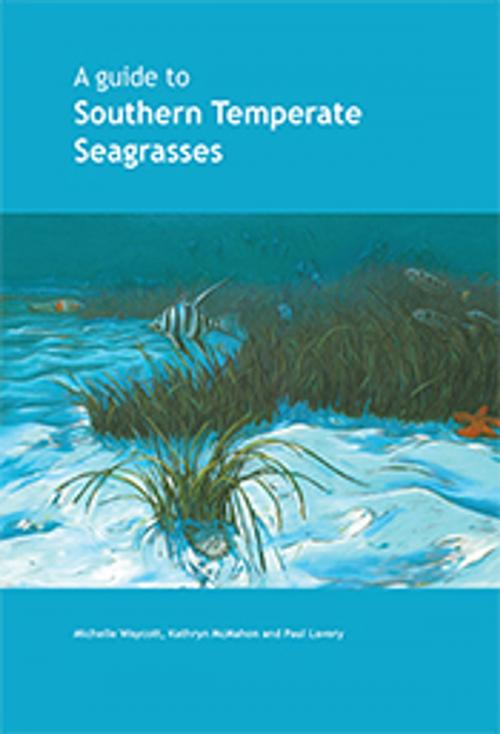 Cover of the book A Guide to Southern Temperate Seagrasses by Michelle Waycott, Kathryn McMahon, Paul Lavery, CSIRO PUBLISHING