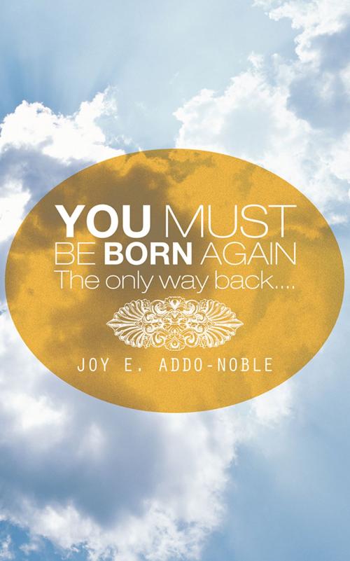 Cover of the book You Must Be Born Again by Joy E. Addo-Noble, Trafford Publishing