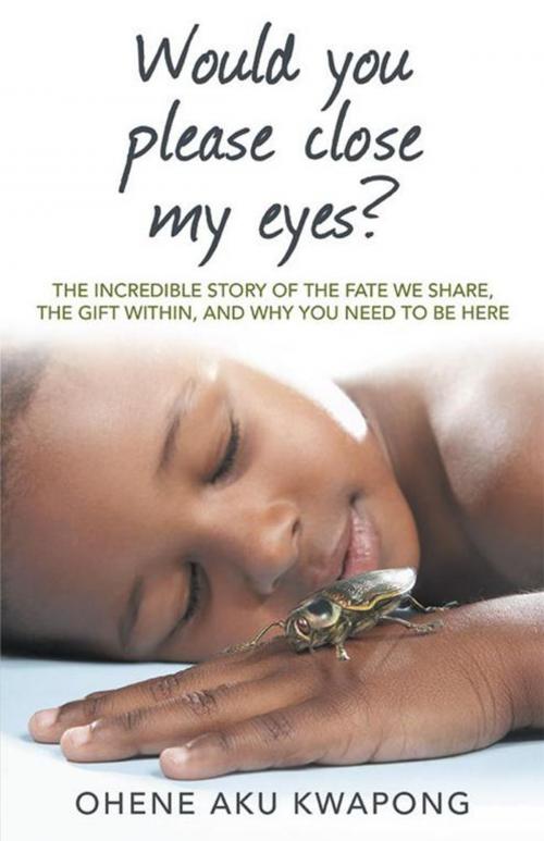 Cover of the book Would You Please Close My Eyes? by Dr. Ohene Aku Kwapong, WestBow Press